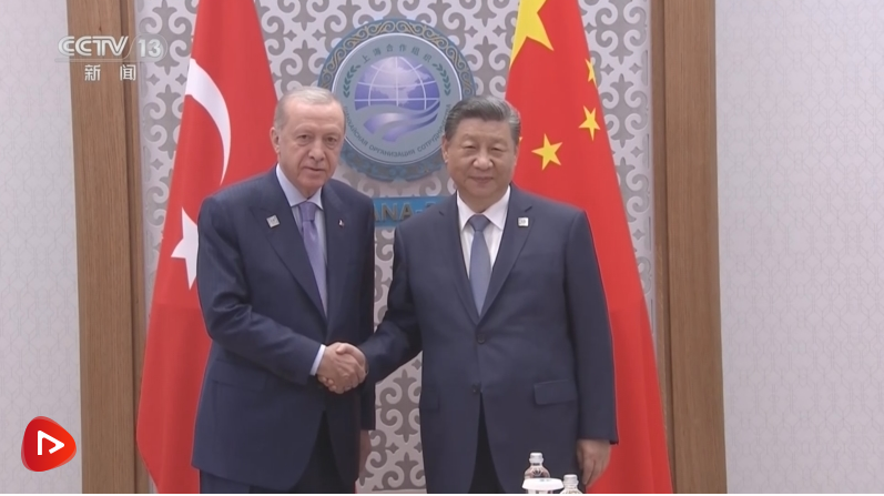 习近平会见土耳其总统埃尔多安